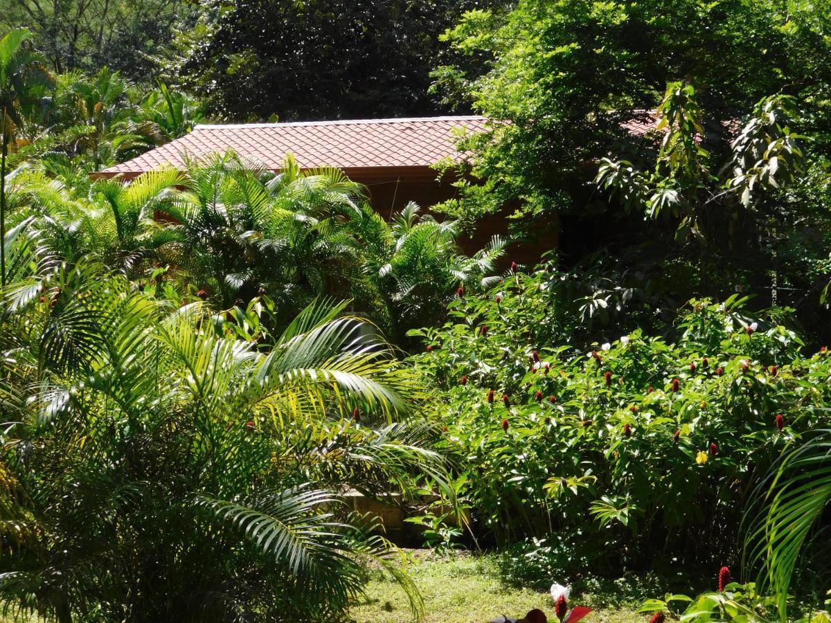 Villasjungle 2 Samara Exterior photo